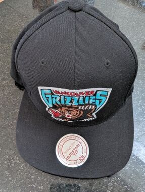 Mitchell & Ness Vancouver Grizzlies Black Teal Brown Red Embroidered Hat
